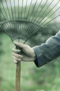 Feel at Home in your Garden